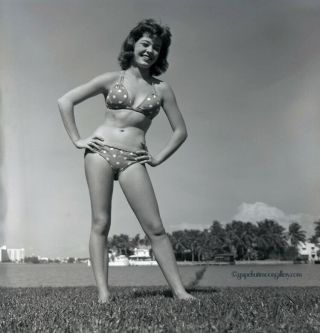 Bunny Yeager 1950s Pin - Up Camera Negative Pretty Model In Polka Dot Bikini Nr