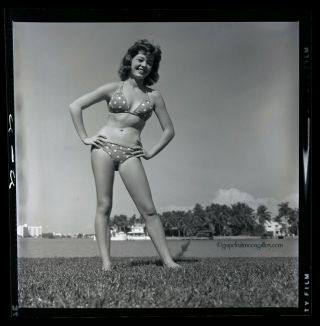 Bunny Yeager 1950s Pin - up Camera Negative Pretty Model In Polka Dot Bikini NR 2