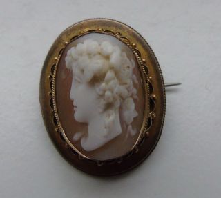 Victorian High Relief Carved Shell Cameo