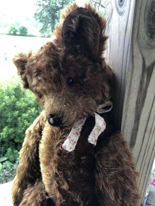 Large Antique Mohair Teddy Bear - Too Cute