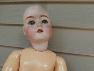 Antique Pansy 23 " Bisque Head Doll,  Comp.  Ball Jointed Body,  Pretty Face