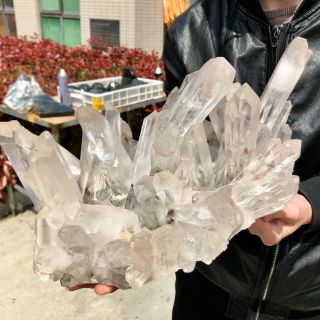 15.  65lb Rare Natural Green Ghost Phantom Quartz Crystal Cluster Specimensttc203