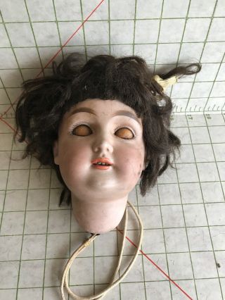 Antique Kestner 146 Bisque Doll Head As Found