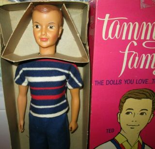 1963 Nib Tammy Family Ted Doll Box,  Stand Doll,  Outfit Nonplay Liner