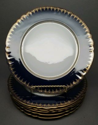6 Richard Ginori Luncheon Plates 9.  5 " Blue Cobalt Gold Scalloped Vintage/antique