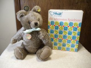 Vintage Steiff Teddy Bear Box And Tags 15 " 0202/41