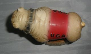 Rare Ru - Vert Chalkware Advertising Figurine University of Georgia UGA Bulldog 8