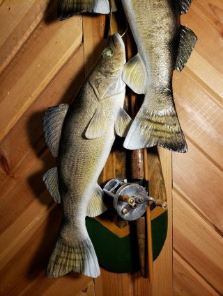 Walleye wood carving fish stringer taxidermy fish diorama carving Casey Edwards 5