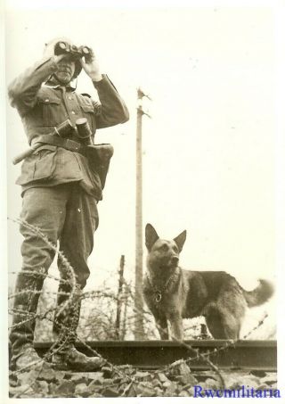 Press Photo: On Wacht Wehrmacht Soldiers W/ Grenades & Schutzhund Dog; 1939