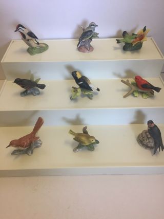Vintage Royal Cornwall Miniature Porcelain Birds 43 Birds