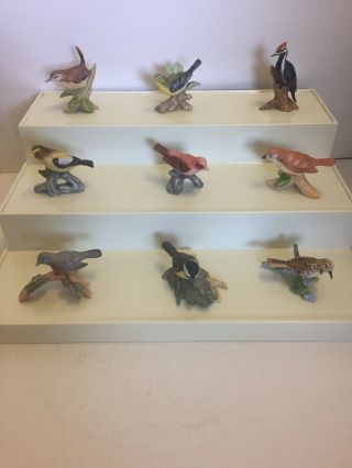 Vintage Royal Cornwall miniature porcelain birds 43 birds 2