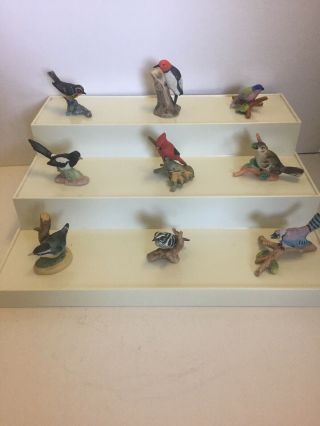 Vintage Royal Cornwall miniature porcelain birds 43 birds 3