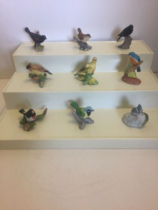 Vintage Royal Cornwall miniature porcelain birds 43 birds 4