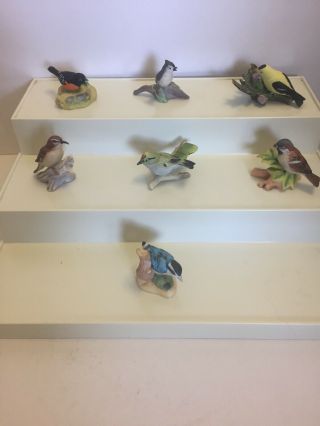 Vintage Royal Cornwall miniature porcelain birds 43 birds 5