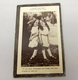 Antique Kraus Mfg Siamese Twins Violet Daisy Sideshow Postcard Post Card Vtg