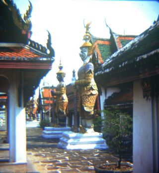 37 Vtg 1959 3D Stereo Realist Slide Photo Bangkok Thailand Siam Temple Markets 5