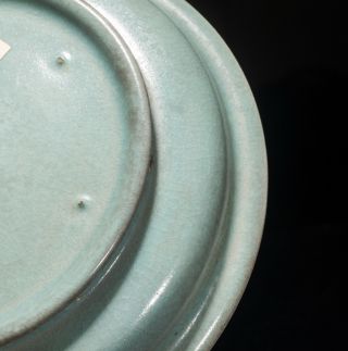 Chinese Antique/Vintage Celadon Glazed Porcelain Dish In Wood Box 8
