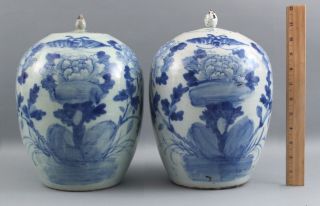 Pr Antique 19thc Chinese Export Porcelain Blue & White Moths Flowers Ginger Jars