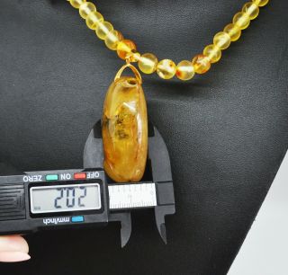 42.  99g FINE Vintage Marbled Baltic Amber Necklace Beads Rosary Misbah Egg Yolk 3