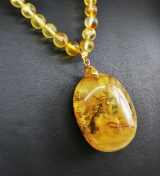 42.  99g FINE Vintage Marbled Baltic Amber Necklace Beads Rosary Misbah Egg Yolk 8