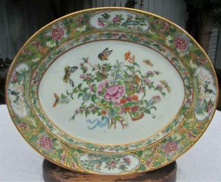 Large Antique 19thc Chinese Daoguang Famille Rose Tray / Platter - Butterflies