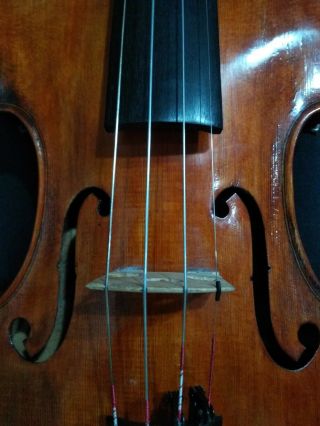 Italian Violin Labeled Master Old Violin 4/4 Vintage Violin