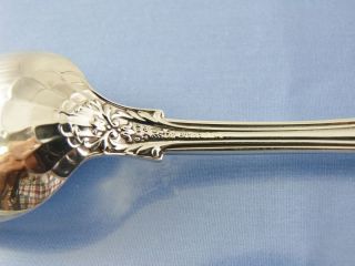 QUEENS 1895 OVAL SOUP or DESSERT SPOON BY GORHAM STERLING 4