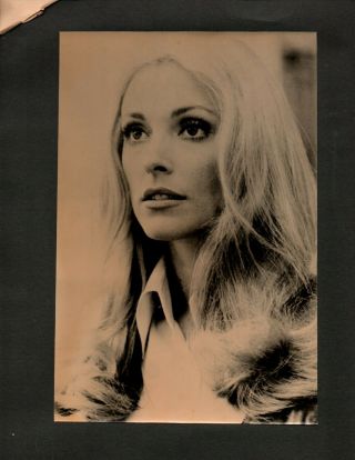 Vintage Press Photo Sharon Tate Plus Possible Last Interview With Her