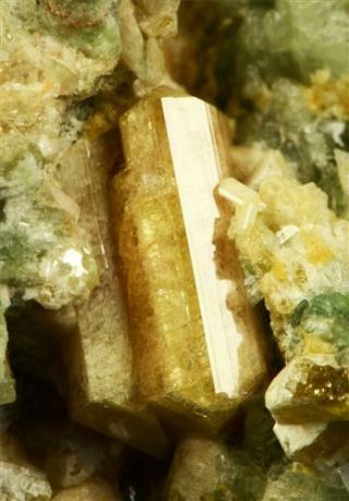 Clinozoisite Inside Rodingite - Rare Mineral