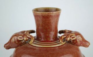 Rare China antique Flambé Glaze sang de boeuf vase Qing mark circa1900s 7