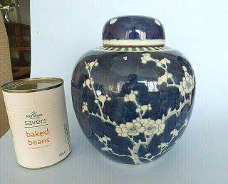 Large Chinese,  Porcelain,  Prunus,  Ginger Jar.  Late 19th Century,  Height 19.  7cm.