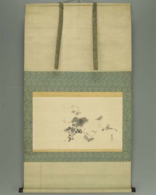 掛軸1967 Japanese Hanging Scroll : Kano Chikanobu " Grapes " @k491
