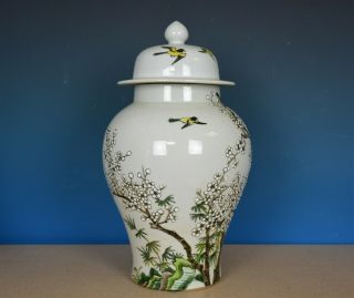 STUNNING ANTIQUE CHINESE FAMILLE ROSE PORCELAIN VASE JAR MARKED KANGXI R9289 2