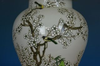 STUNNING ANTIQUE CHINESE FAMILLE ROSE PORCELAIN VASE JAR MARKED KANGXI R9289 6