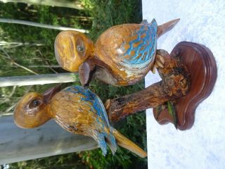 Vintage Hand Carved and Painted Australian Wood Kookaburra ' s on Branch Statue 3