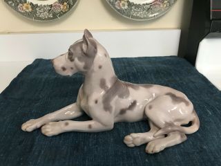 Vintage Large 11 1/2 " Bing & Grondahl (b & G) 1773 Great Dane Dog Figurine