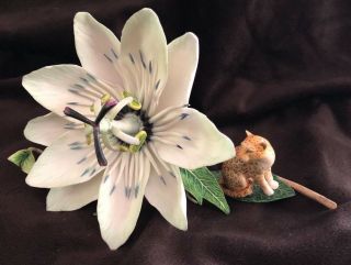 Fleur Cowles Vintage Fine Bone China Passion Flower & Leopard Vintage