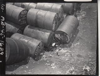 Wwii Restricted Photo Gulf Oil Corp Aviation Fuel Drums 1945 Saipan 671
