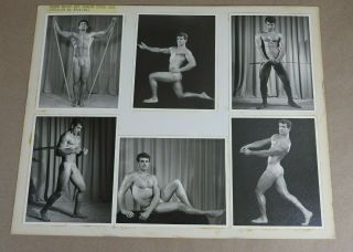 Rare Model Card,  Physique,  Bodybuilding,  1950 