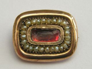 Antique - Georgian - 9ct Rose Gold/pearl Gallery Mourning Brooch - C1820 
