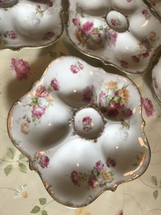 6 Elite Limoges Porcelain Seafood Oyster Plates Pink Roses Vintage 2