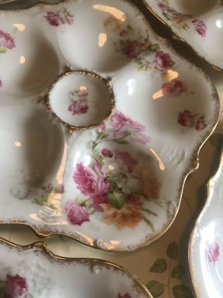 6 Elite Limoges Porcelain Seafood Oyster Plates Pink Roses Vintage 8