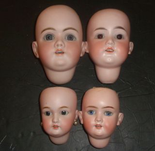 4 Antique German Bisque Doll Heads,  Walkure,  Dep Handwerck,  S&h,  Gb