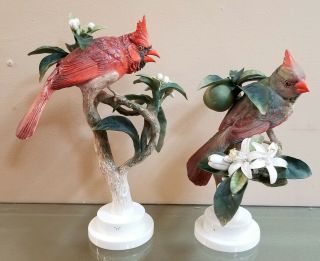 Vintage Royal Worcester Dorothy Doughty Pair 1937 Red Cardinals