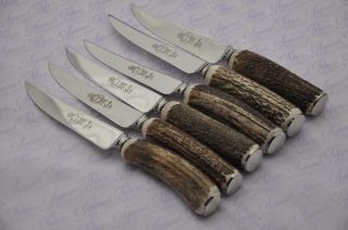 Six Chatsworth Stag/antler Handle Steak Knives Made Sheffield England