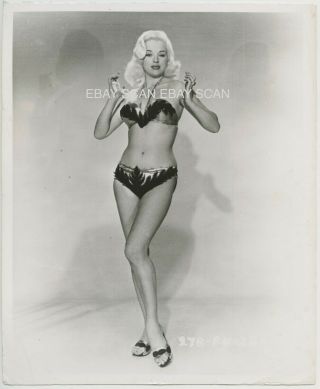 Diana Dors Sexy Leggy In Bikini Vintage Linen Back Portrait Photo