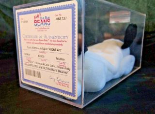 Ty Beanie Babies Authenticated Ultra Rare " Spot W/o A Spot " 1st Swing/tush Tags
