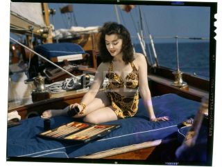 Ann Rutherford Vintage John Florea Old Photo Transparency 290b