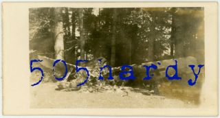 Wwii Us Gi Photo - Us Captured German Fw 190 Sabotaged ? In Forest France 2