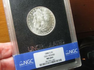 Hard To Find Non Cc Gsa Encased Morgan Dollar Ngc 1880 - S Ms - 64,  White & Rare